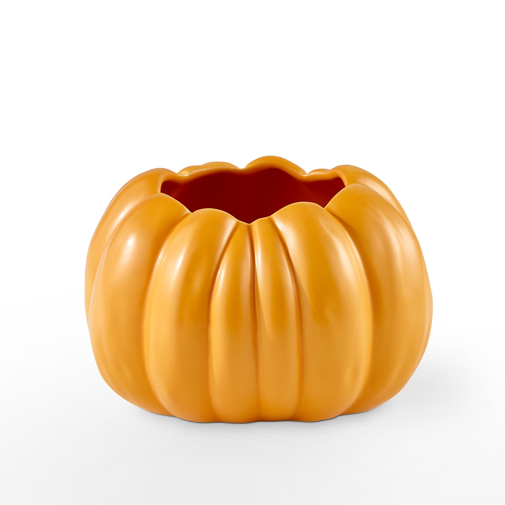 Pick of the Patch Pumpkin Bouquet – MC MAHON'S HOUSE OF FLOWERS INC, Kingston ON