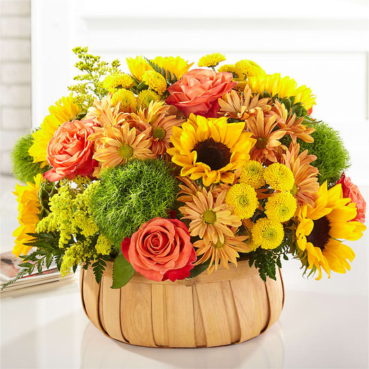 Harvest Sunflower Basket – MC MAHON'S HOUSE OF FLOWERS INC, Kingston ON