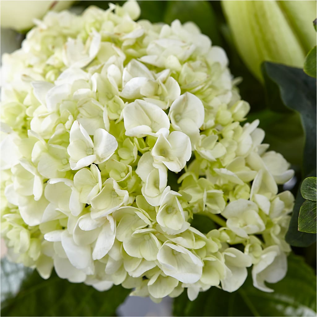 Classic Ivory – A Florist Original – MC MAHON'S HOUSE OF FLOWERS INC, Kingston ON