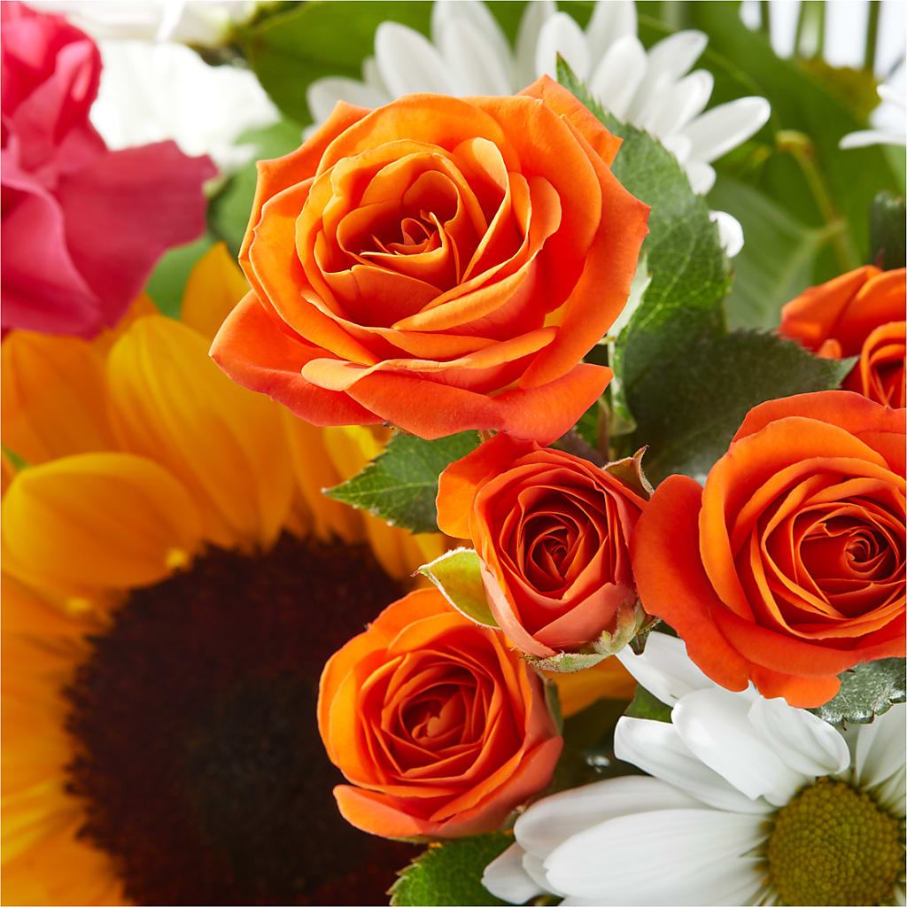Sun-drenched Blooms Bouquet – MC MAHON'S HOUSE OF FLOWERS INC, Kingston ON
