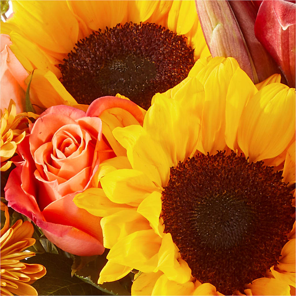 Acorn Lane Bouquet – MC MAHON'S HOUSE OF FLOWERS INC, Kingston ON