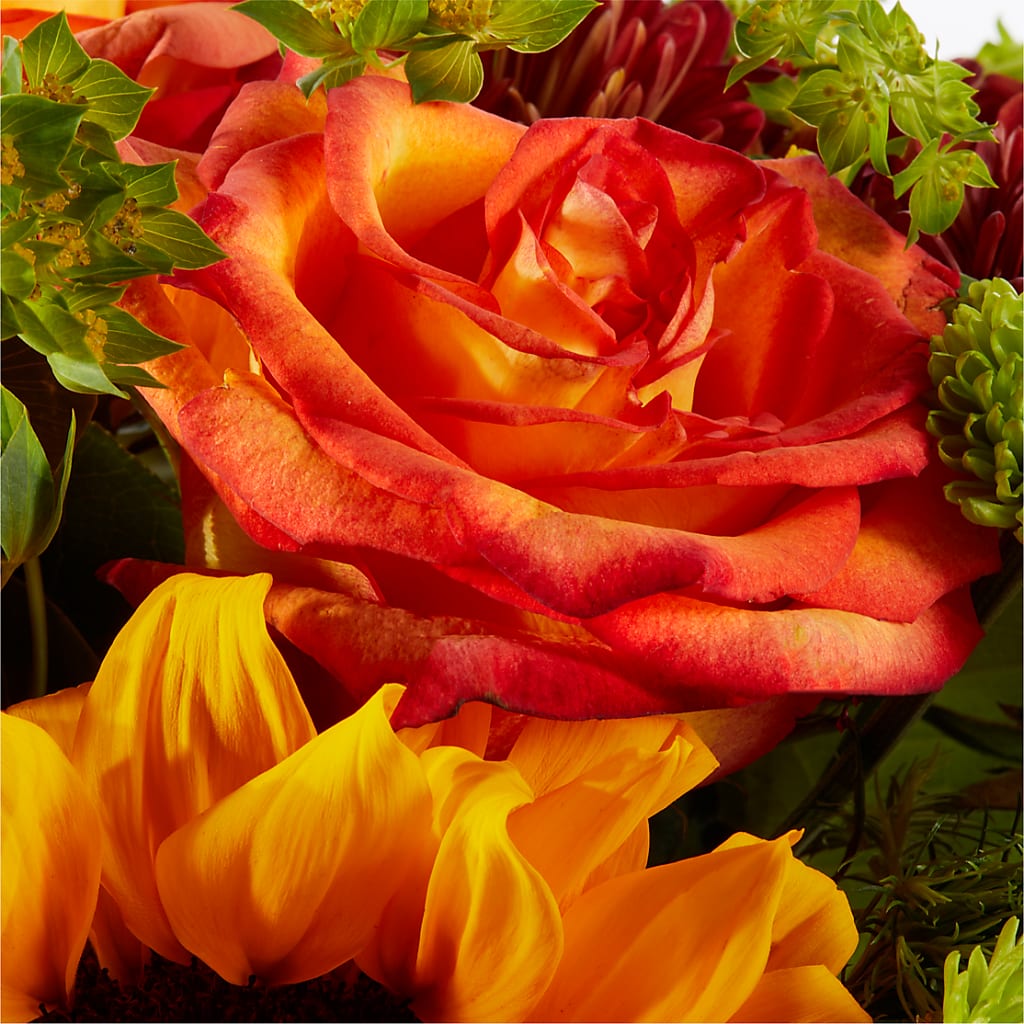Harvest Festival Bouquet – MC MAHON'S HOUSE OF FLOWERS INC, Kingston ON