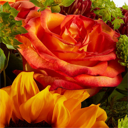 Harvest Festival Bouquet – MC MAHON'S HOUSE OF FLOWERS INC, Kingston ON