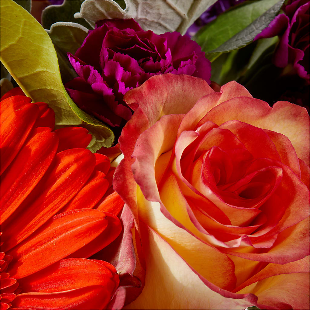 Sangria Bouquet – MC MAHON'S HOUSE OF FLOWERS INC, Kingston ON