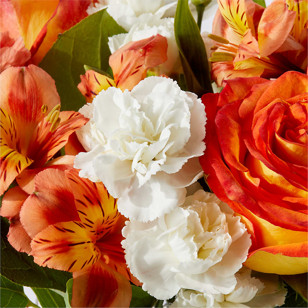 Apricot Glow Bouquet – MC MAHON'S HOUSE OF FLOWERS INC, Kingston ON