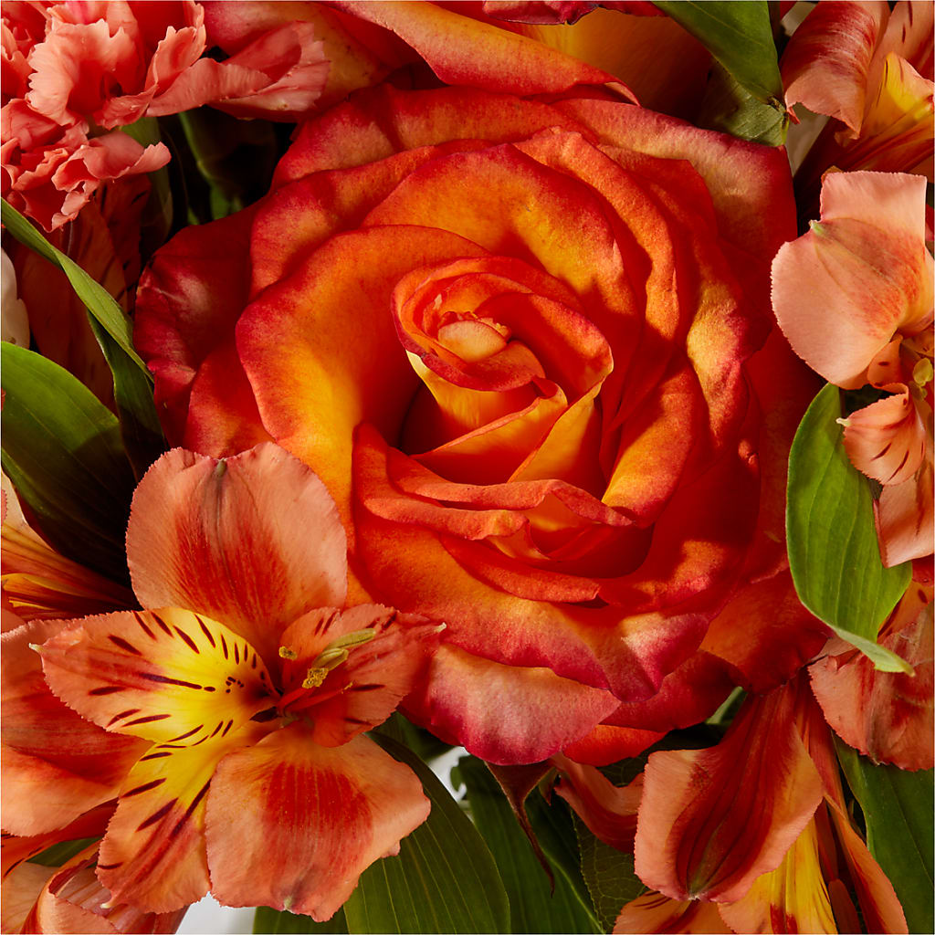 Apricot Glow Bouquet – MC MAHON'S HOUSE OF FLOWERS INC, Kingston ON