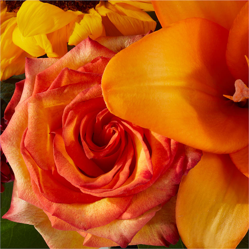 Grateful Centerpiece – MC MAHON'S HOUSE OF FLOWERS INC, Kingston ON