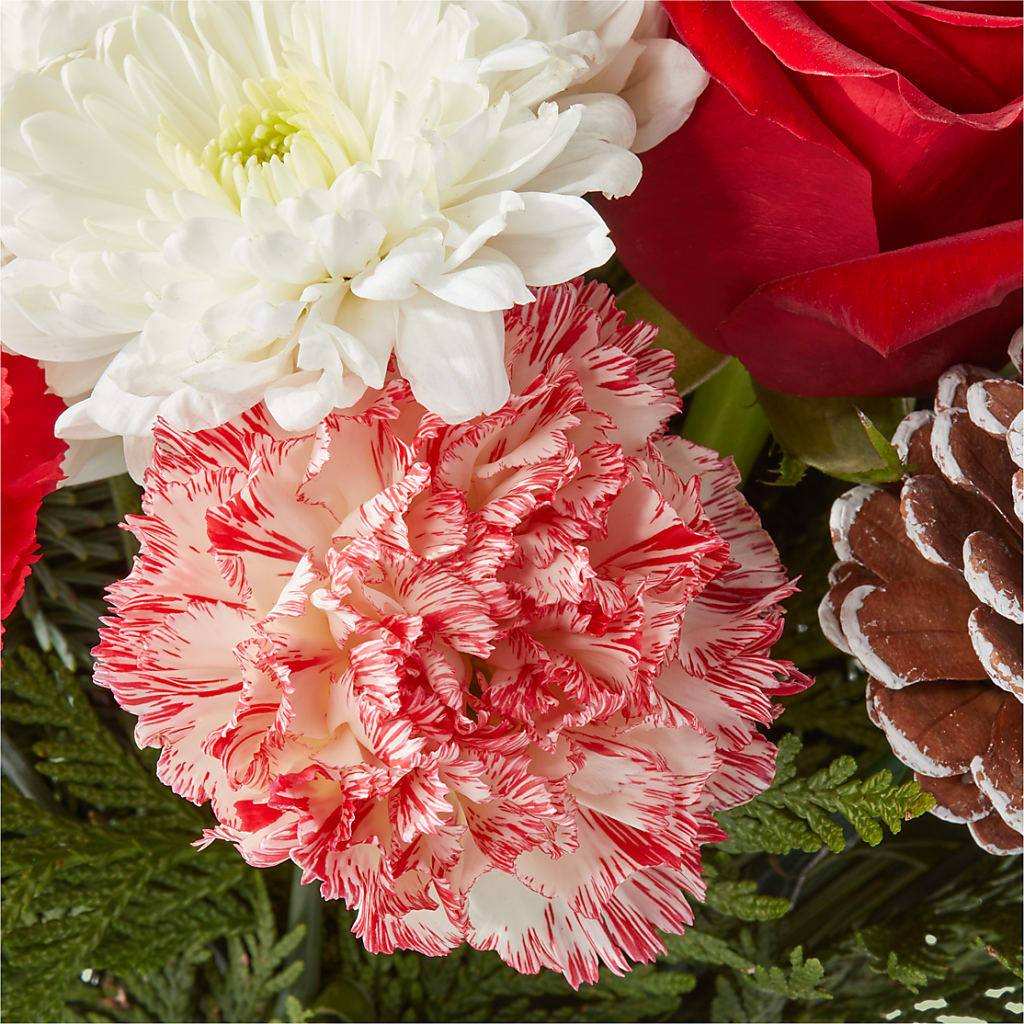 Candy Cane Lane Bouquet – MC MAHON'S HOUSE OF FLOWERS INC, Kingston ON