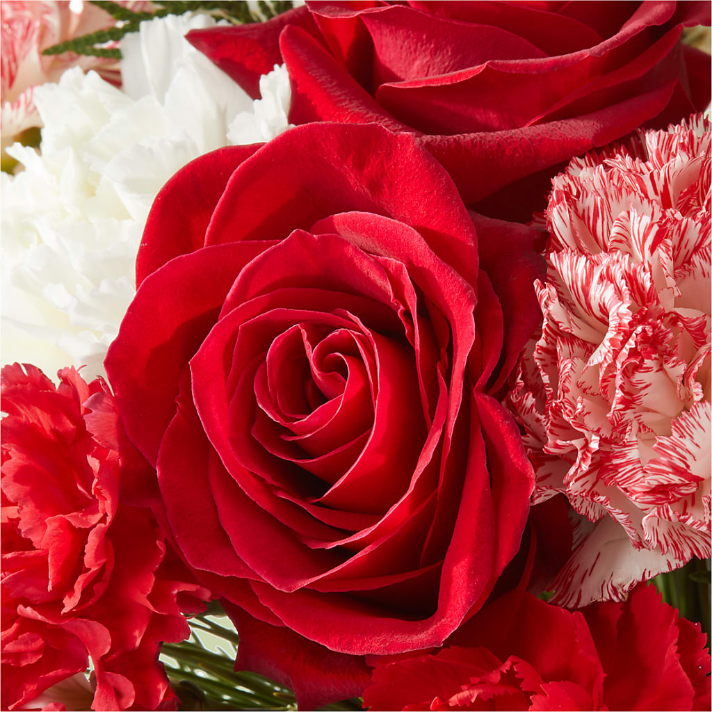 Candy Cane Lane Bouquet – MC MAHON'S HOUSE OF FLOWERS INC, Kingston ON