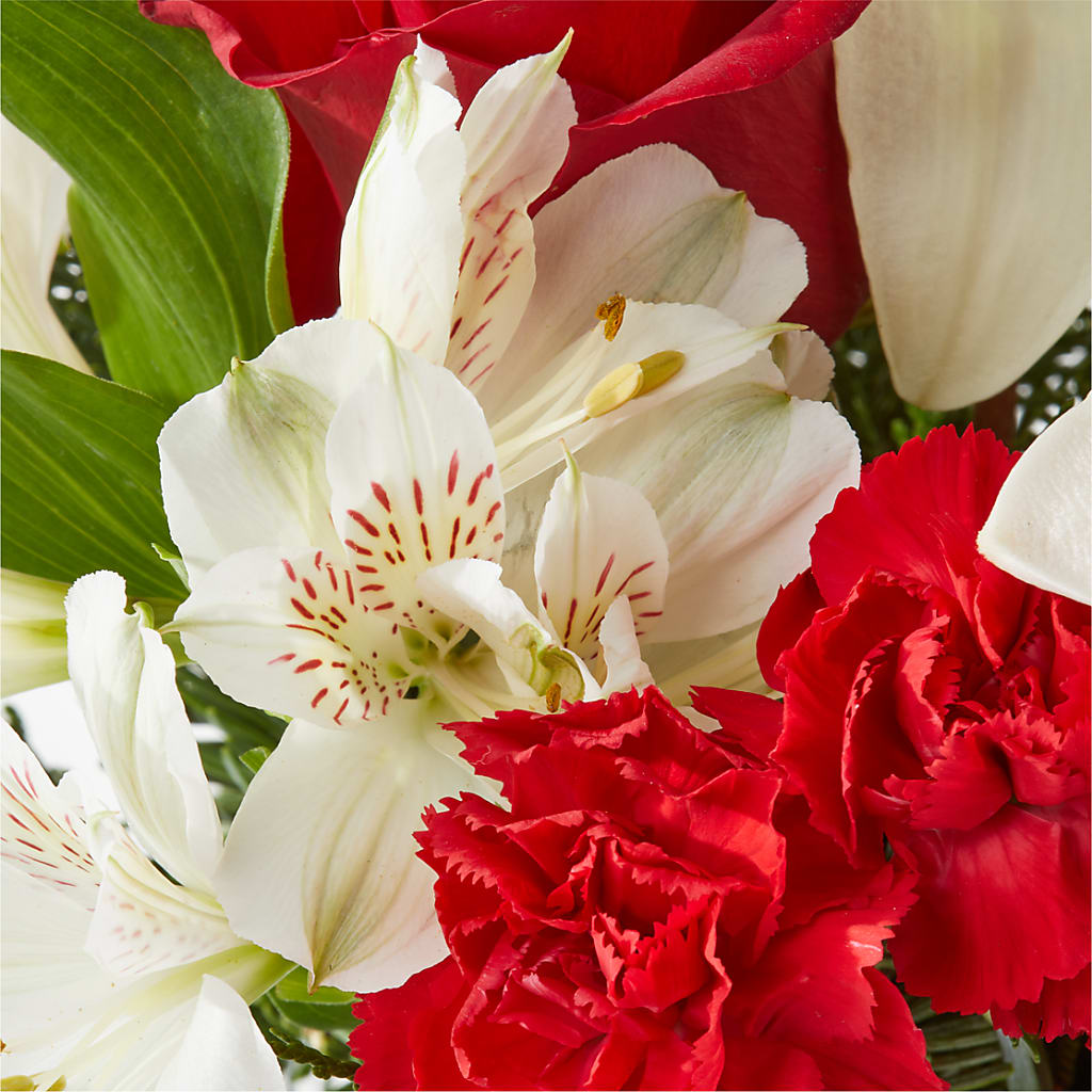 Holiday Season Bouquet – MC MAHON'S HOUSE OF FLOWERS INC, Kingston ON