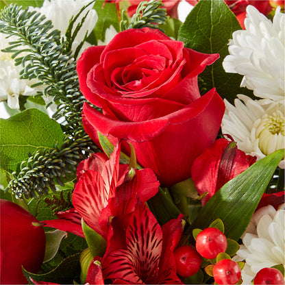 Letters to Santa Bouquet – MC MAHON'S HOUSE OF FLOWERS INC, Kingston ON