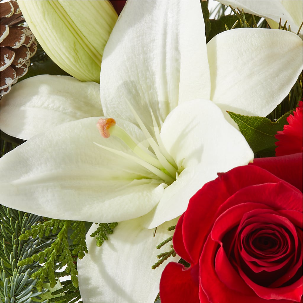 Oh So Jolly Bouquet – MC MAHON'S HOUSE OF FLOWERS INC, Kingston ON