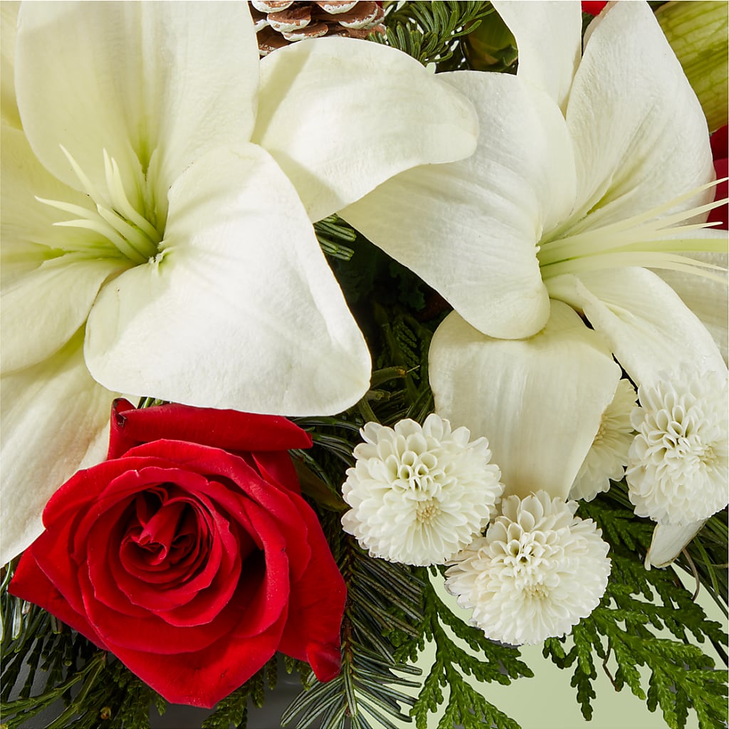 Seasonal Festivities Centerpiece – MC MAHON'S HOUSE OF FLOWERS INC, Kingston ON