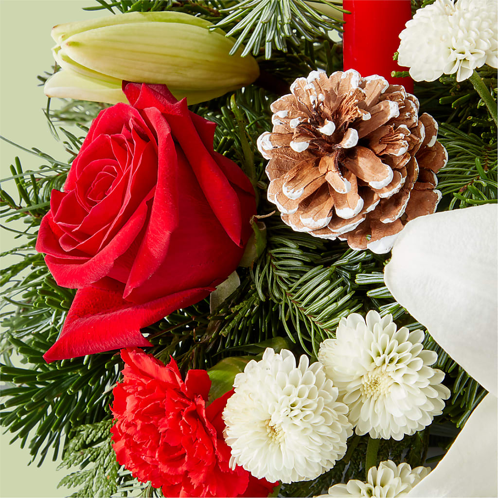 Seasonal Festivities Centerpiece – MC MAHON'S HOUSE OF FLOWERS INC, Kingston ON