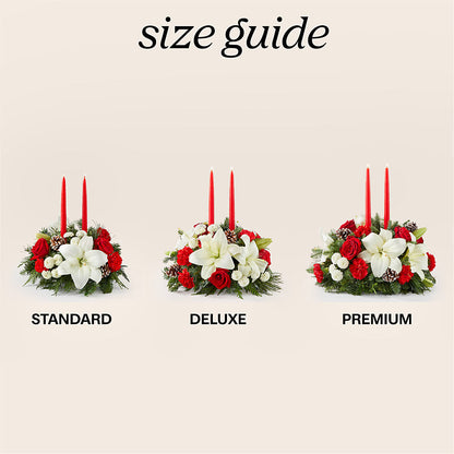 Seasonal Festivities Centerpiece – MC MAHON'S HOUSE OF FLOWERS INC, Kingston ON
