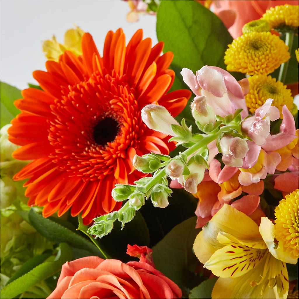 Autumn Sunshine Bouquet – MC MAHON'S HOUSE OF FLOWERS INC, Kingston ON