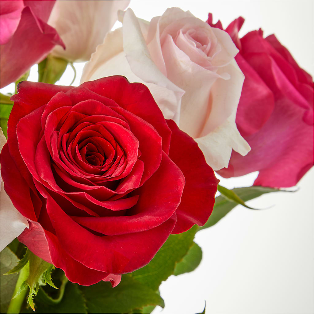 Charming Rose Bouquet – MC MAHON'S HOUSE OF FLOWERS INC, Kingston ON