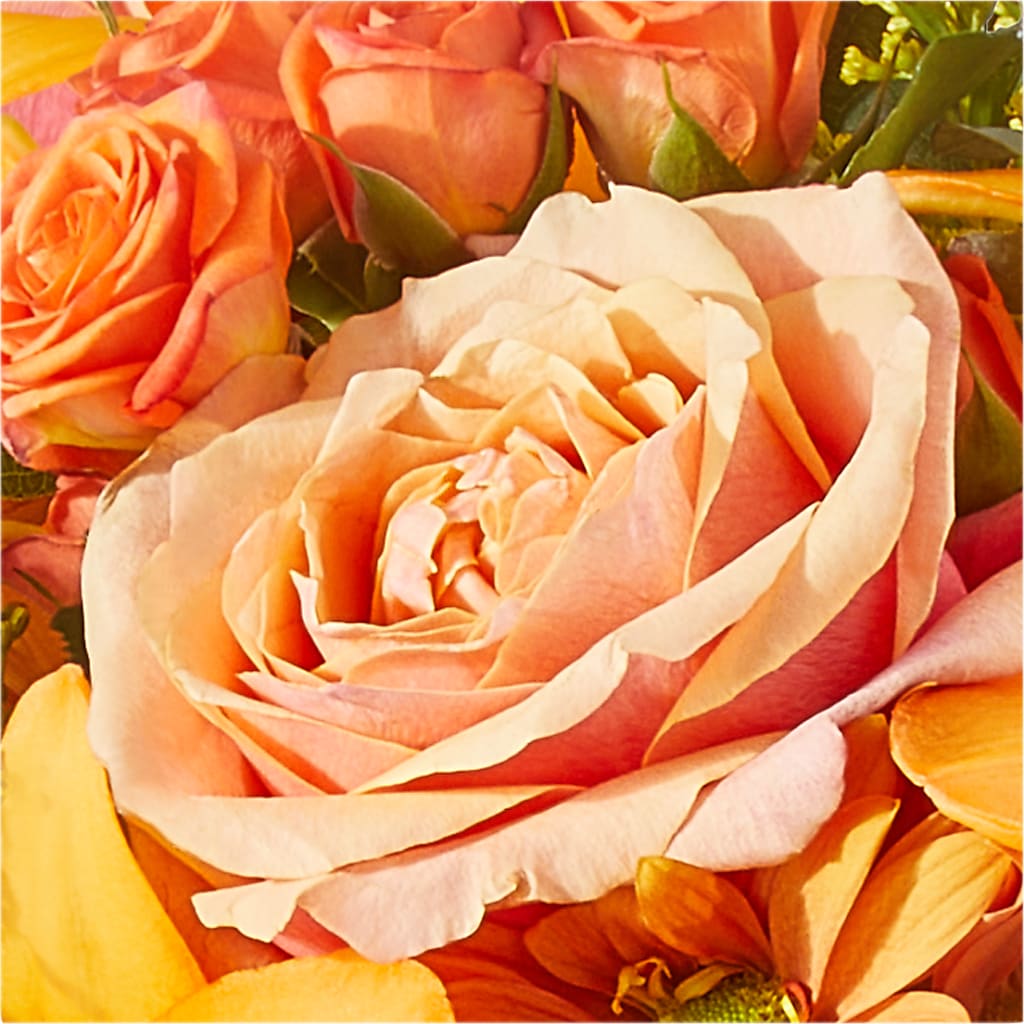 Harvest Hayride Bouquet – MC MAHON'S HOUSE OF FLOWERS INC, Kingston ON