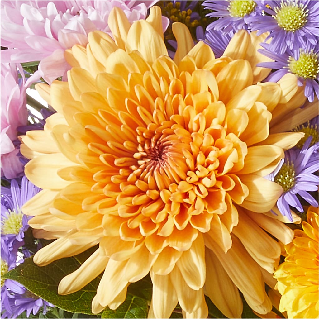 Countryside Bouquet – MC MAHON'S HOUSE OF FLOWERS INC, Kingston ON