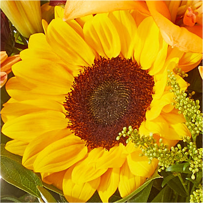 Seasons Change Bouquet – MC MAHON'S HOUSE OF FLOWERS INC, Kingston ON