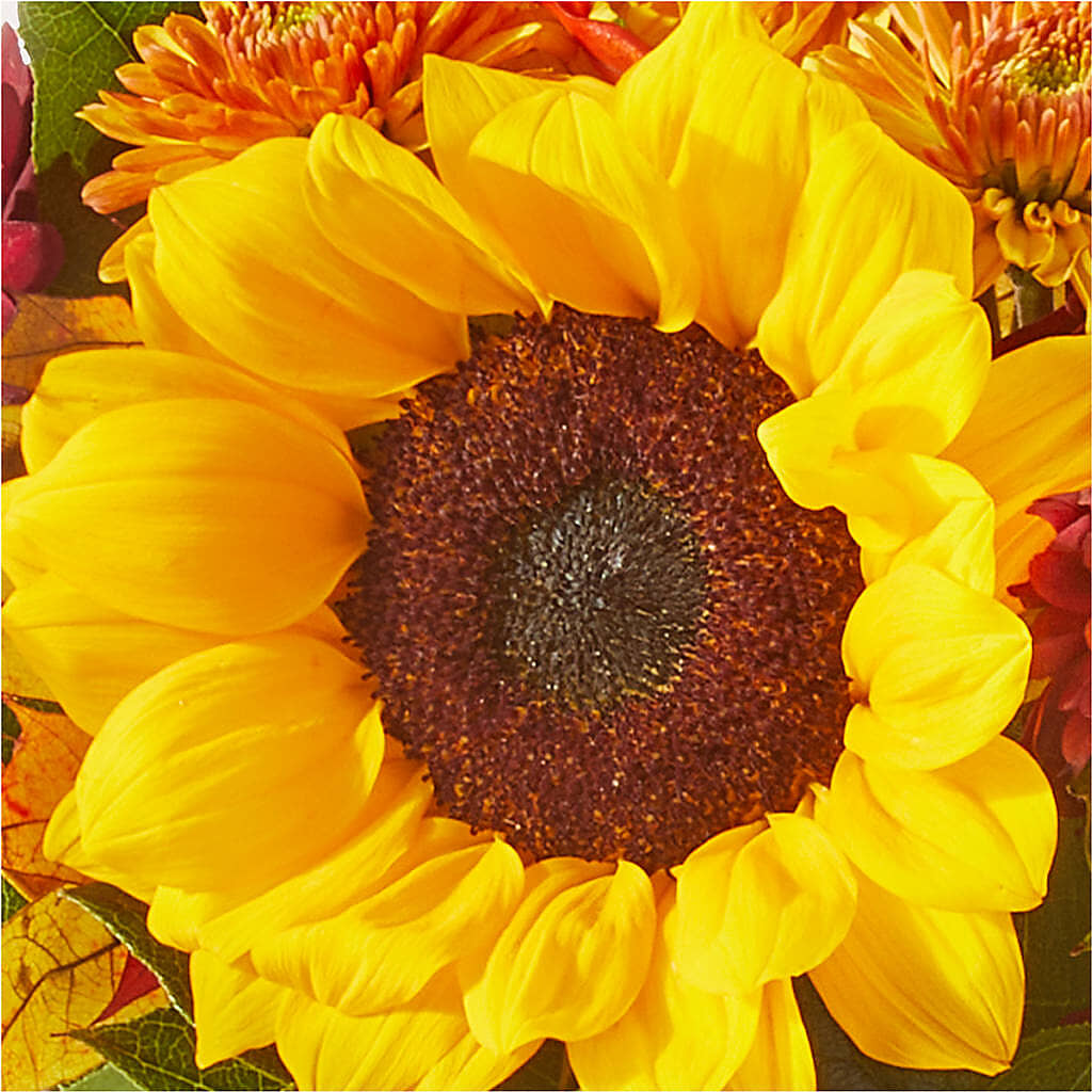 Sunny Side Bouquet – MC MAHON'S HOUSE OF FLOWERS INC, Kingston ON