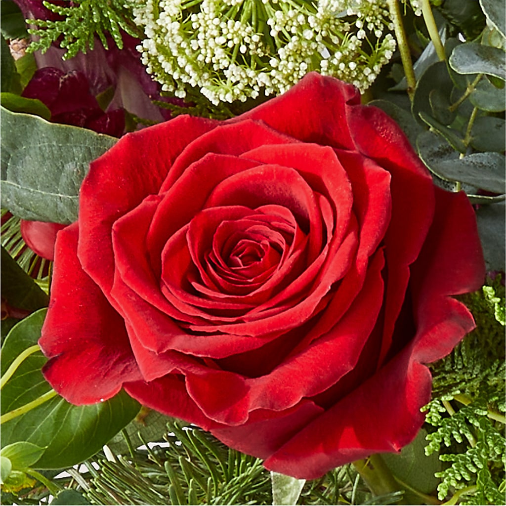 Cranberry Fizz Bouquet – MC MAHON'S HOUSE OF FLOWERS INC, Kingston ON