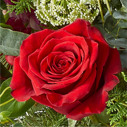 Cranberry Fizz Bouquet – MC MAHON'S HOUSE OF FLOWERS INC, Kingston ON