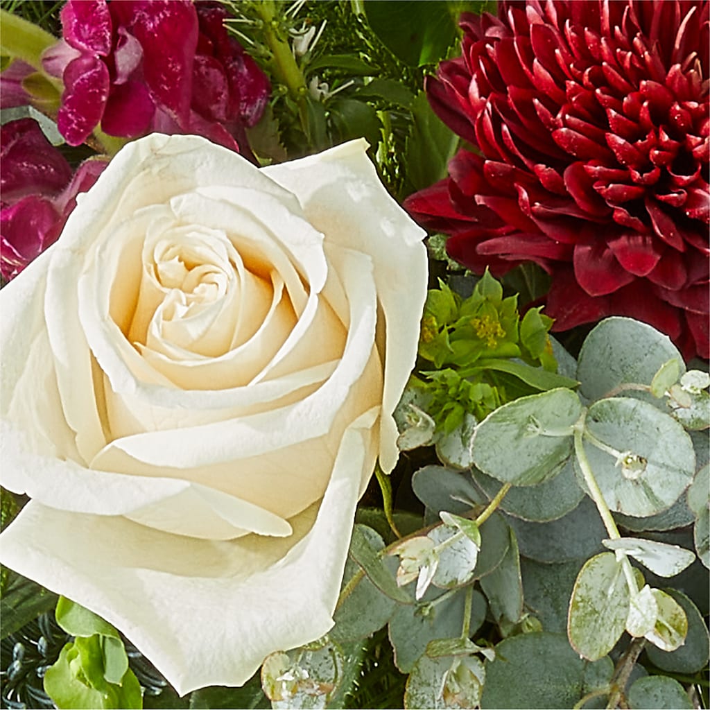 Cranberry Fizz Bouquet – MC MAHON'S HOUSE OF FLOWERS INC, Kingston ON