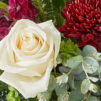 Cranberry Fizz Bouquet – MC MAHON'S HOUSE OF FLOWERS INC, Kingston ON