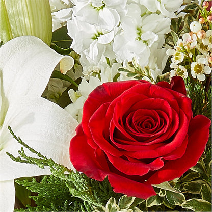 Twinkle Lights Bouquet – MC MAHON'S HOUSE OF FLOWERS INC, Kingston ON