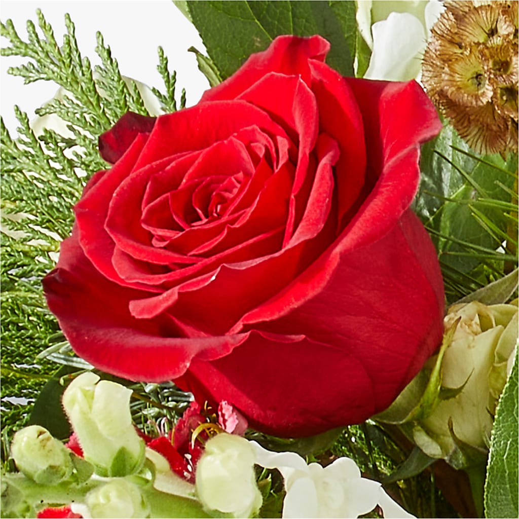 Deck the Halls Bouquet – MC MAHON'S HOUSE OF FLOWERS INC, Kingston ON