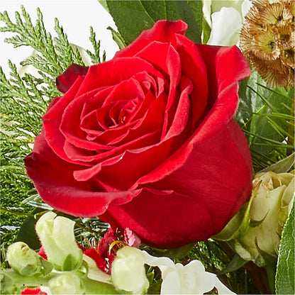 Deck the Halls Bouquet – MC MAHON'S HOUSE OF FLOWERS INC, Kingston ON