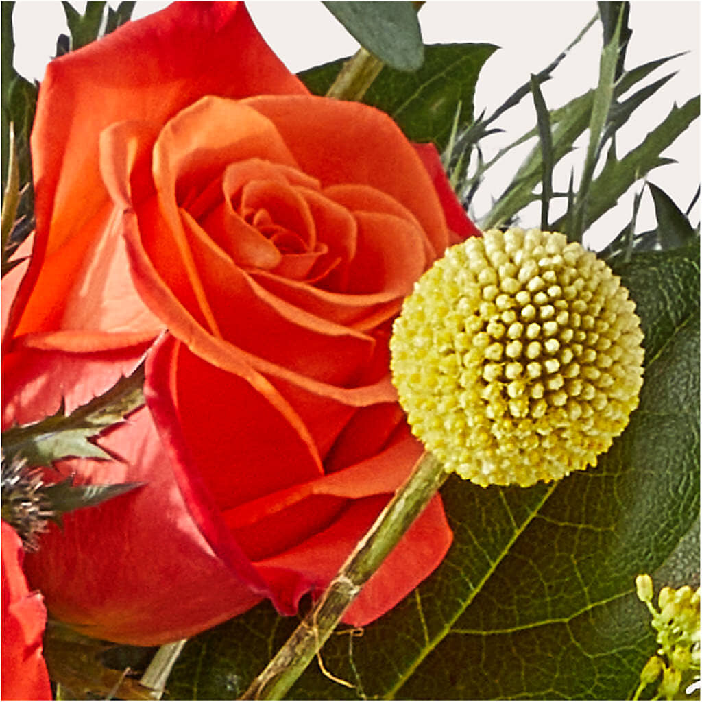 Disco Bouquet – MC MAHON'S HOUSE OF FLOWERS INC, Kingston ON