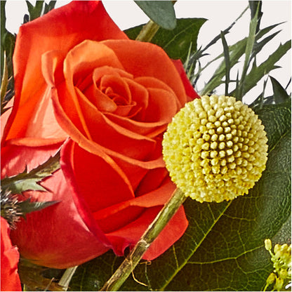 Disco Bouquet – MC MAHON'S HOUSE OF FLOWERS INC, Kingston ON