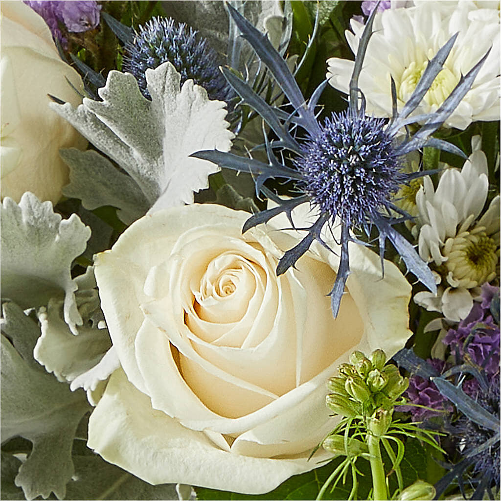 Shooting Star Bouquet – MC MAHON'S HOUSE OF FLOWERS INC, Kingston ON