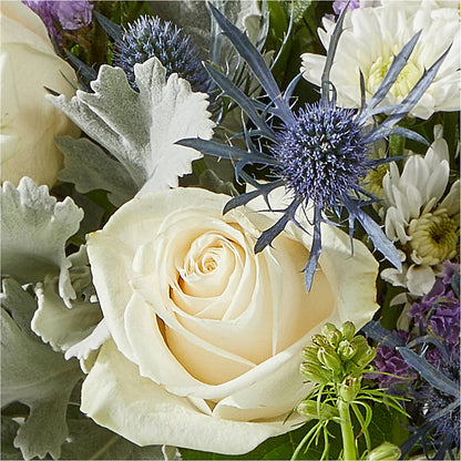 Shooting Star Bouquet – MC MAHON'S HOUSE OF FLOWERS INC, Kingston ON
