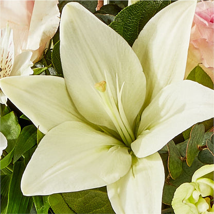 Ballet Slippers Bouquet – MC MAHON'S HOUSE OF FLOWERS INC, Kingston ON