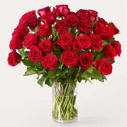 The One Red Rose Bouquet – MC MAHON'S HOUSE OF FLOWERS INC, Kingston ON