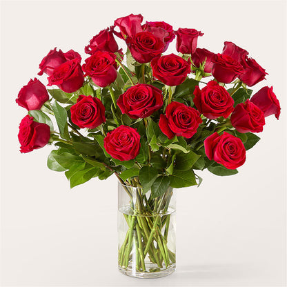 The One Red Rose Bouquet – MC MAHON'S HOUSE OF FLOWERS INC, Kingston ON