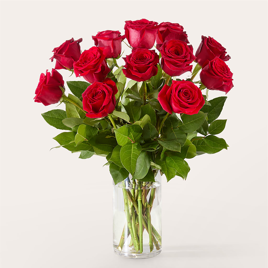 The One Red Rose Bouquet – MC MAHON'S HOUSE OF FLOWERS INC, Kingston ON