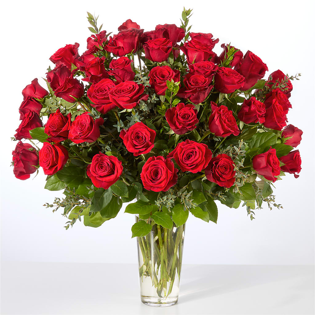 Forever Yours Fifty Stem Red Rose Bouquet – MC MAHON'S HOUSE OF FLOWERS INC, Kingston ON