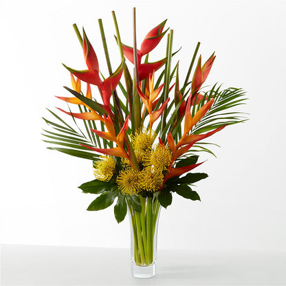 The Drama – MC MAHON'S HOUSE OF FLOWERS INC, Kingston ON