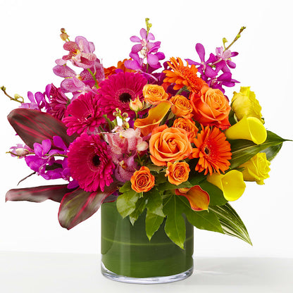 The Mosaic – MC MAHON'S HOUSE OF FLOWERS INC, Kingston ON