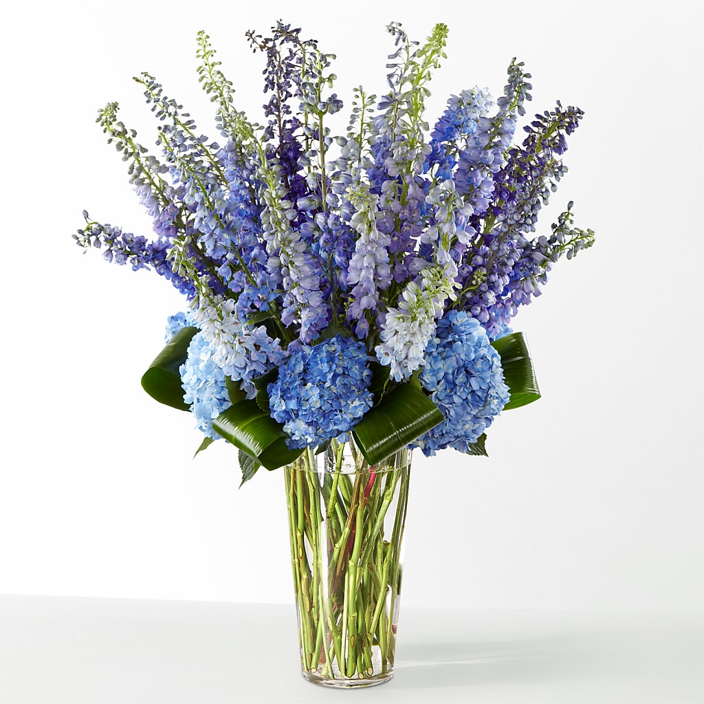 The Editorial – MC MAHON'S HOUSE OF FLOWERS INC, Kingston ON