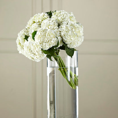 White Hydrangea Hand-Tied Bouquet – MC MAHON'S HOUSE OF FLOWERS INC, Kingston ON